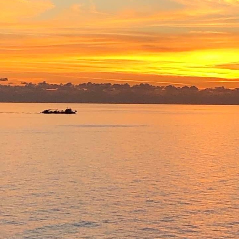 Meet your Posher, Terry